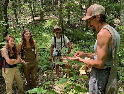 Plants, Trees, and wild woods wonders walk at FENCE