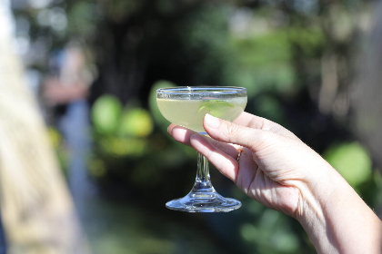 Cocktails in the Conservatory July