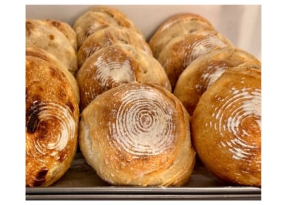 Sip & Sourdough: Sourdough for Beginners