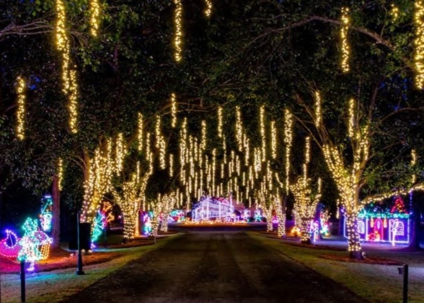 16+ Festival Of Lights Tampa