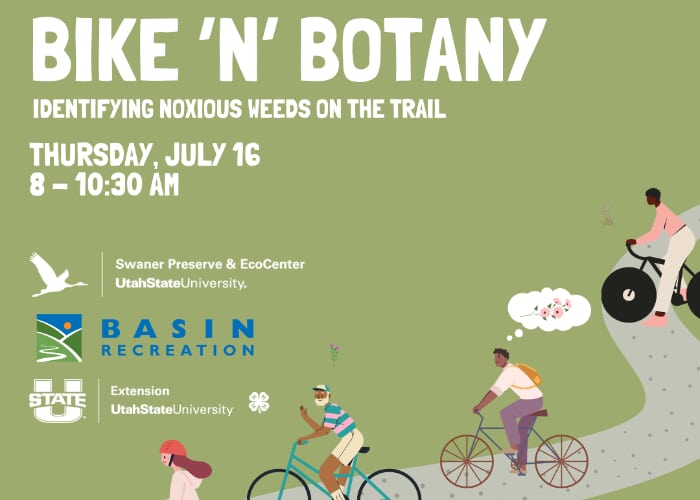 Bike 'n' Botany