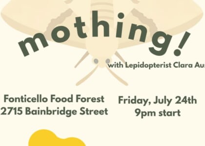 Mothing with Evolving Ecologies
