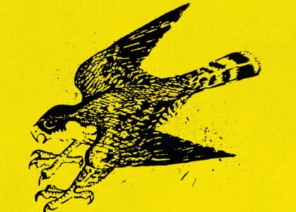 Fledge Fest