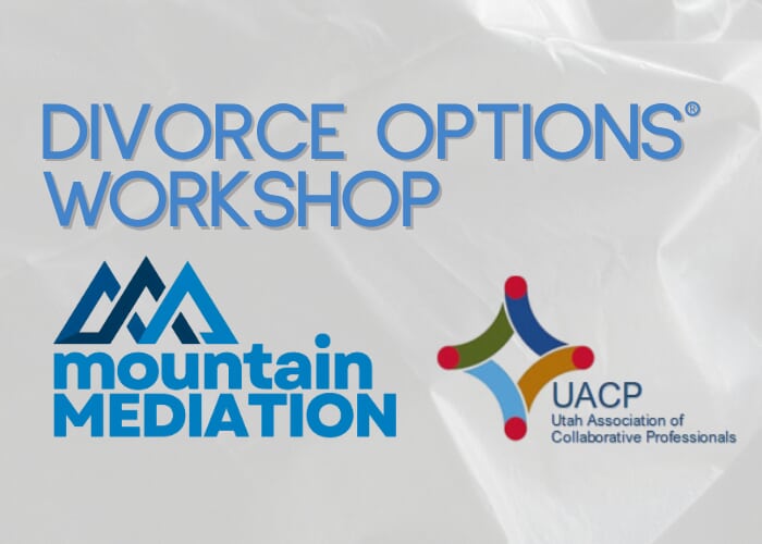 Divorce Options Workshop