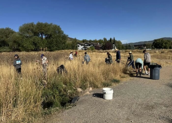 Thriving Land Thursdays: Weed Wrangling on the 910 Ranch