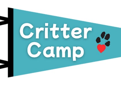 Critter Camp