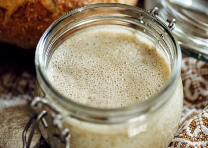 Sweet & Sourdough: Thursday, July 16th