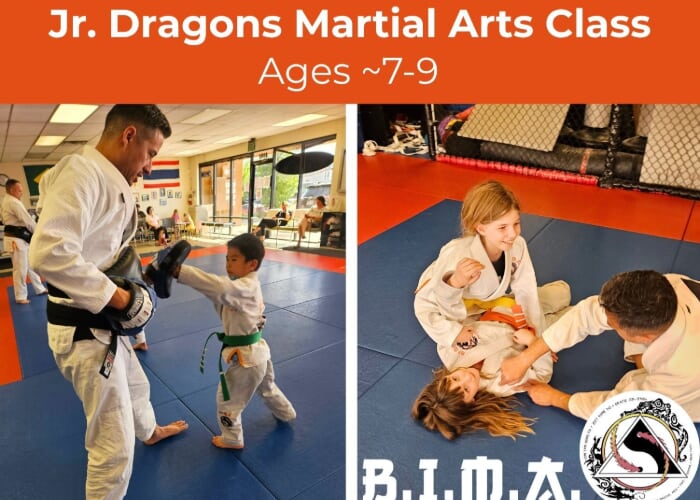 Jr. Dragons Martial Arts (Ages ~7-9)